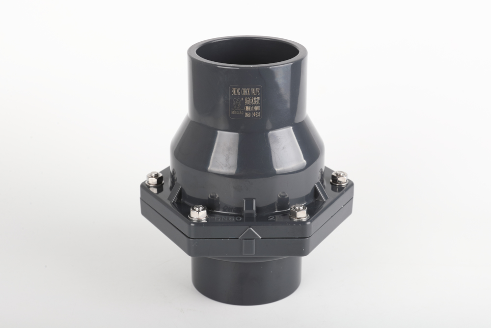 沔城回族镇翻板式止回阀