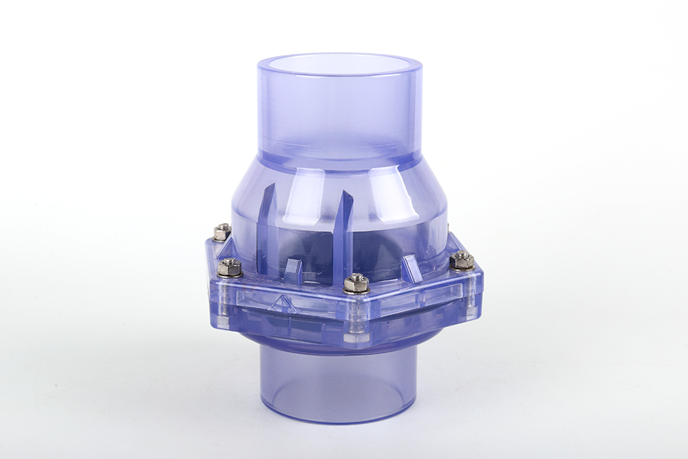 沔城回族镇透明翻板式止回阀